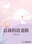 总裁的追妻路
