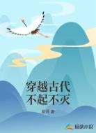 穿越古代不起不灭