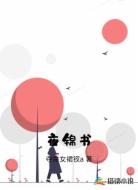 夜锦书
