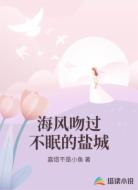海风吻过不眠的盐城