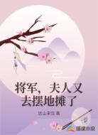 将军，夫人又去摆地摊了