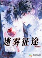 迷雾征途