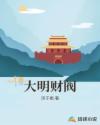 大明財(cái)閥