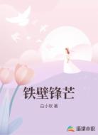 铁壁锋芒
