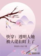 快穿：透明人她被大佬们盯上了