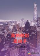 我的倒影是凶手