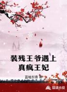 装残王爷遇上真疯王妃