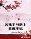 装残王爷遇上真疯王妃