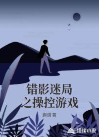錯(cuò)影迷局之操控游戲