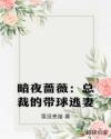 暗夜蔷薇：总裁的带球逃妻
