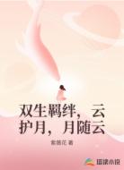 雙生羈絆，云護(hù)月，月隨云