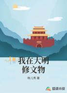 我在大明修文物