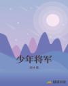 少年将军