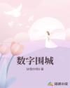 数字围城