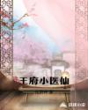 王府小医仙