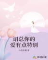 诏总你的爱有点特别