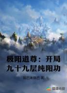 极阳道尊：开局九十九层纯阳功
