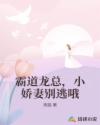 霸道龙总，小娇妻别逃哦