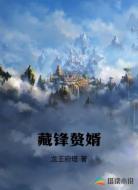 藏锋赘婿