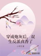 穿成炮灰后，双生反派真香了
