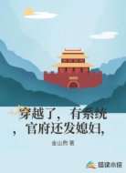 穿越了，有系统，官府还发媳妇，