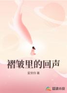 褶皱里的回声