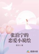 张泊宁的恋爱小说绘