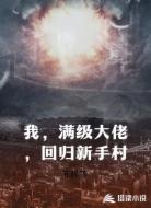 我，满级大佬，回归新手村