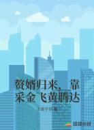 赘婿归来,靠采金飞黄腾达