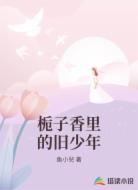 栀子香里的旧少年