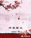 烬夜霜风