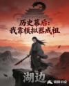 历史幕后：我靠模拟器成祖