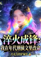 淬火成锋：我在年代刑侦文里改命