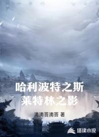 哈利波特之斯莱特林之影