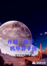 开局一扳手，机甲靠手搓