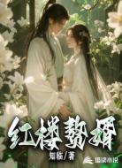 红楼赘婿