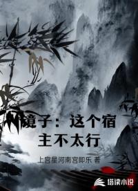 镜子：这个宿主不太行