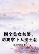 四个美女老婆，助我拿下大炎王朝