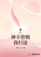 神不曾赐我归途