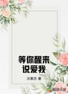 等你醒来说爱我