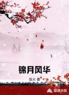 锦月风华