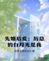 书名