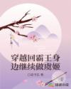 书名