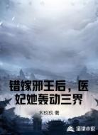 错嫁邪王后,医妃她轰动三界