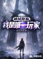 神域降临:我是唯一玩家