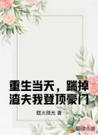 重生当天，踹掉渣夫我登顶豪门