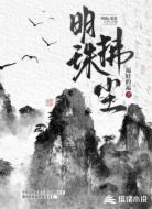 明珠拂尘