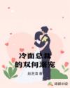 书名