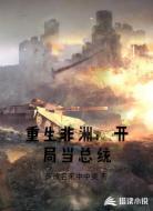 重生非洲:开局当总统