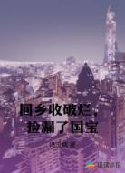回乡收破烂，捡漏了国宝